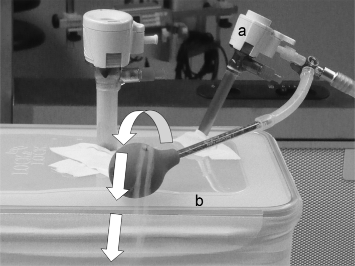 Fig. 1