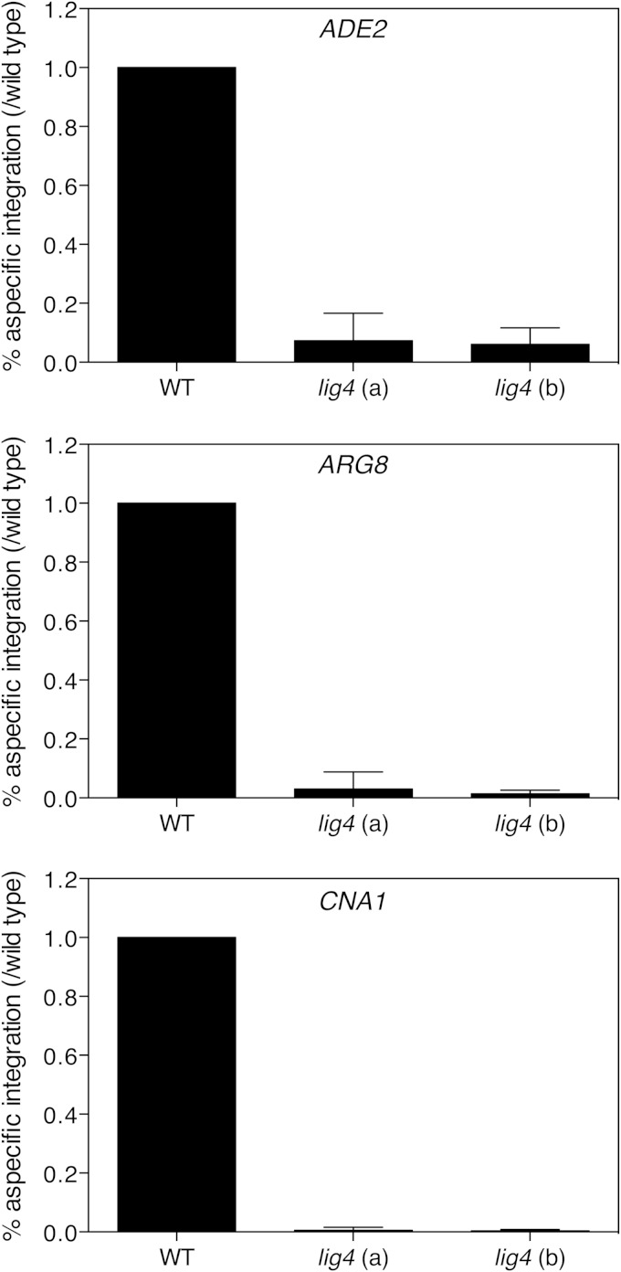 FIG 5