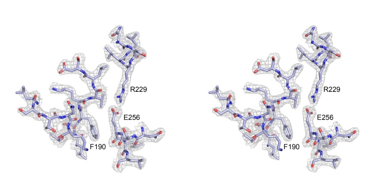 Supplementary Figure 2.