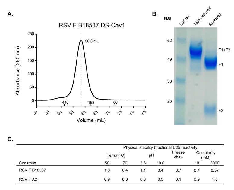 Supplementary Figure 1.