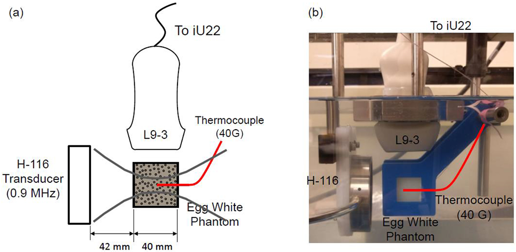 Figure 2: