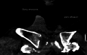 Image 3.