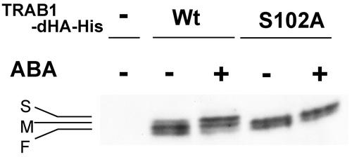 Figure 6.