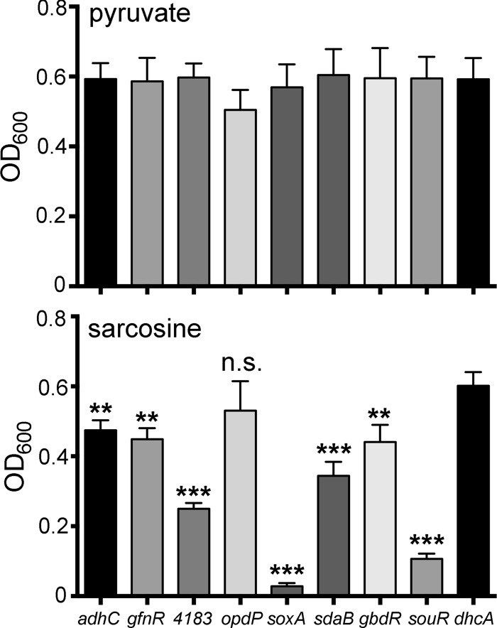 FIG 6