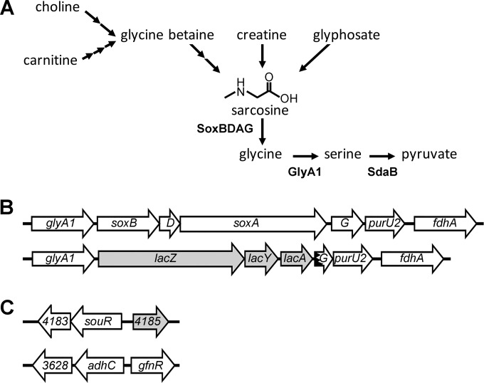 FIG 1