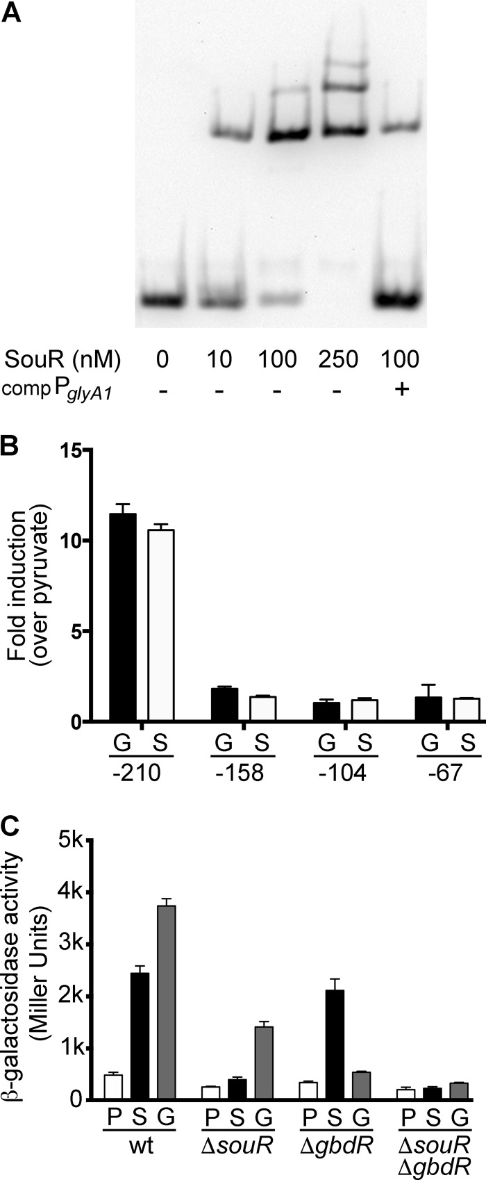 FIG 4