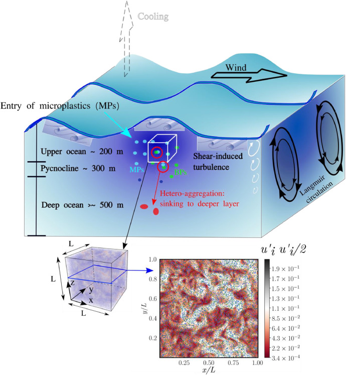 Fig 3