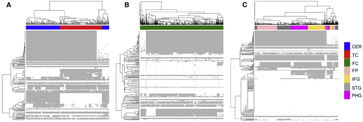 Figure 5