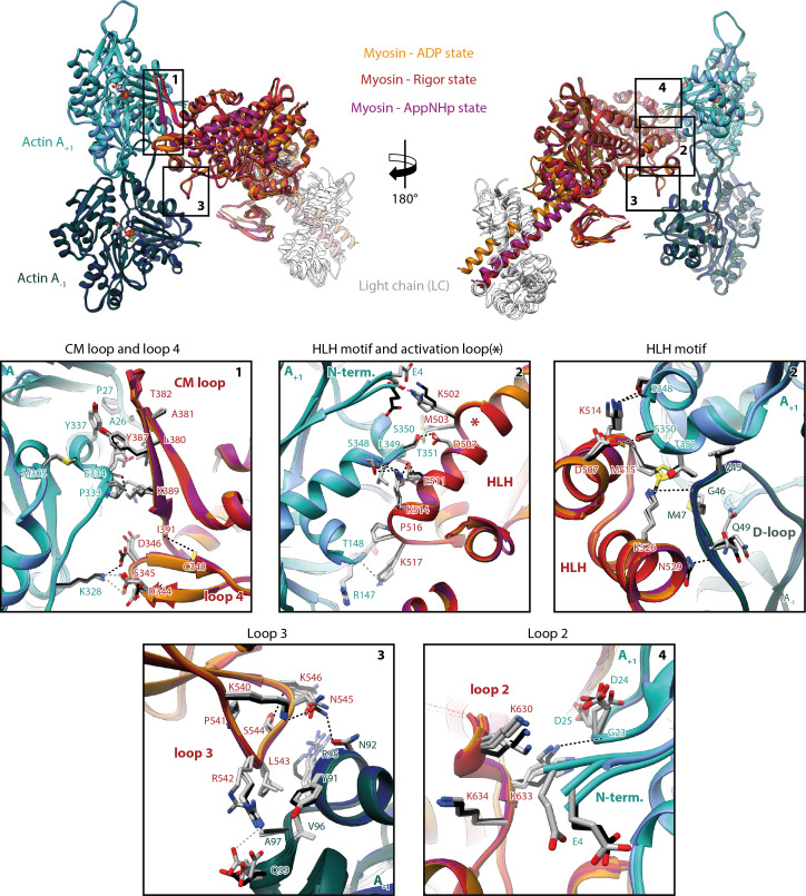 Figure 5.