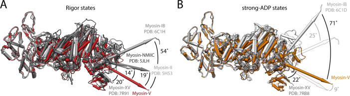 Figure 1—figure supplement 5.