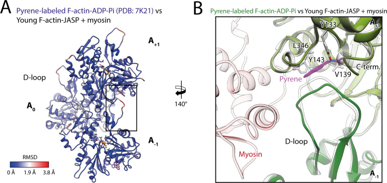 Figure 8—figure supplement 2.