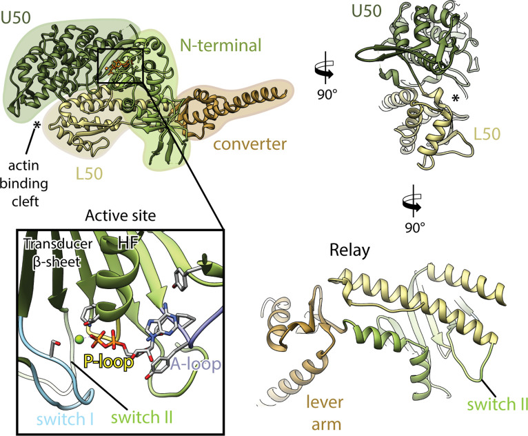 Figure 1—figure supplement 6.