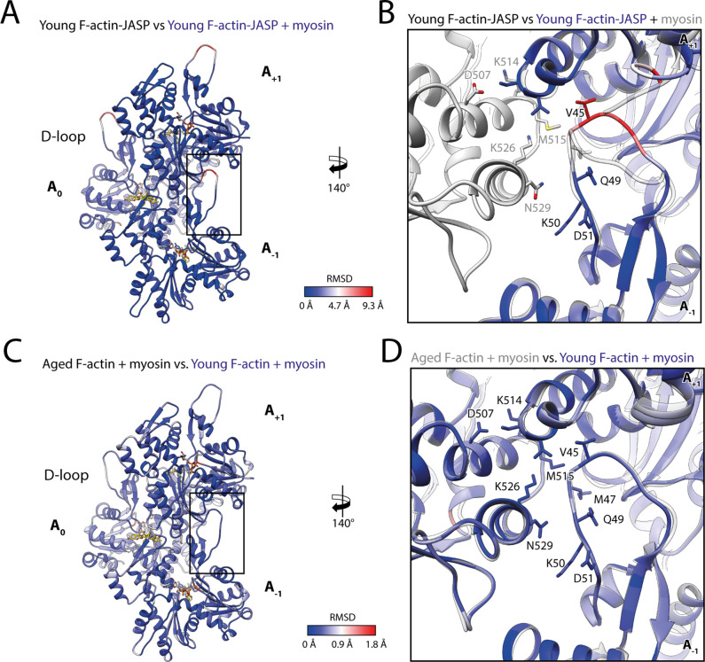 Figure 8—figure supplement 1.