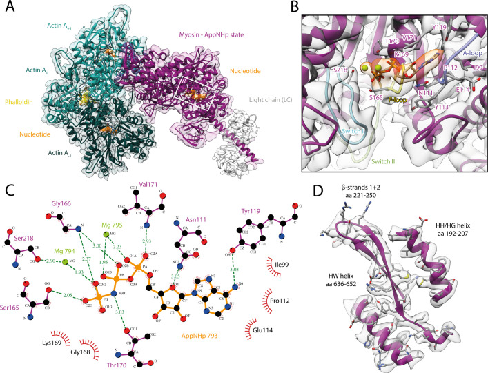 Figure 4.