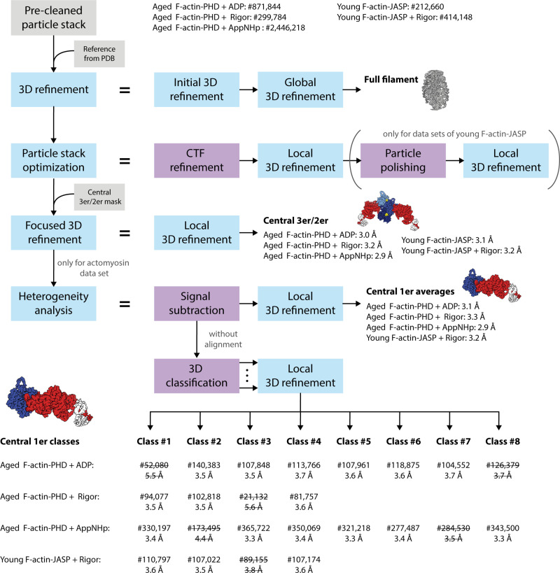 Figure 1—figure supplement 1.