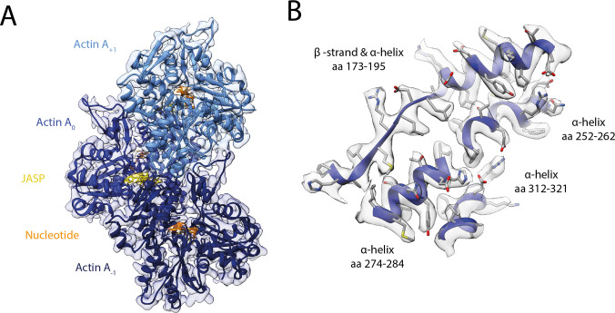 Figure 7—figure supplement 2.