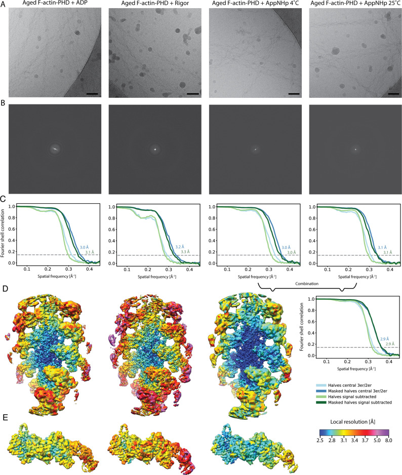 Figure 1—figure supplement 2.