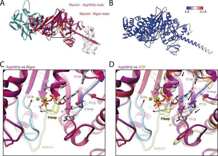 Figure 4—figure supplement 1.