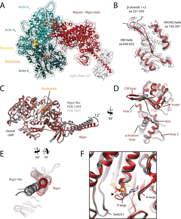 Figure 2.