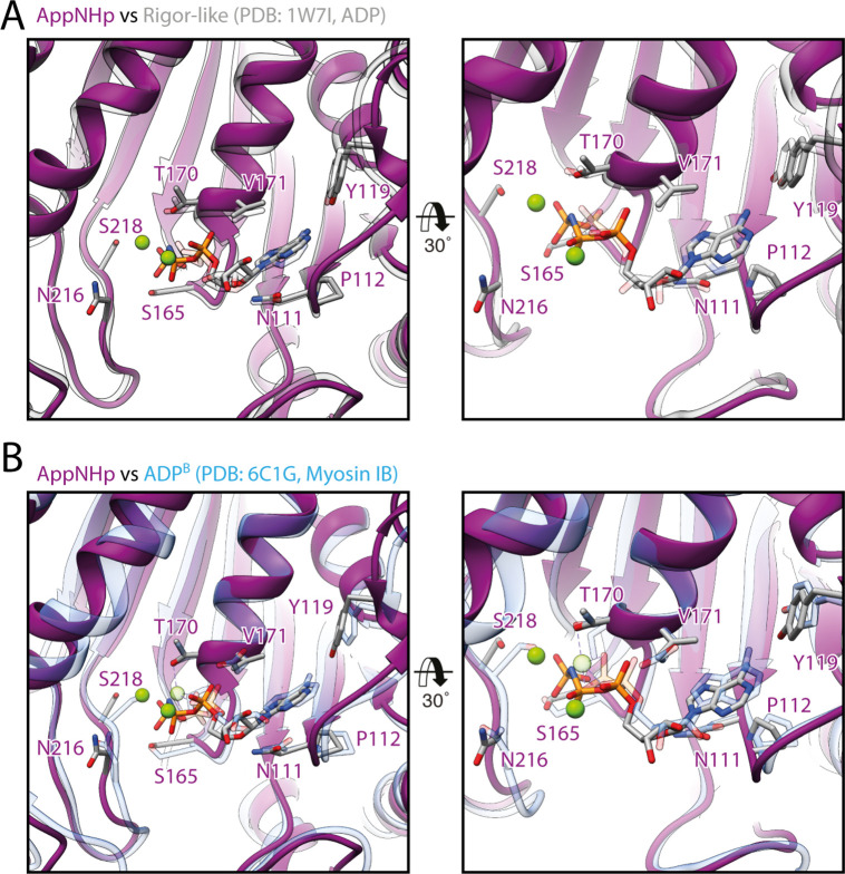 Figure 4—figure supplement 2.