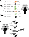 Fig. 3