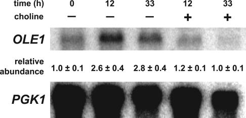 Figure 10.