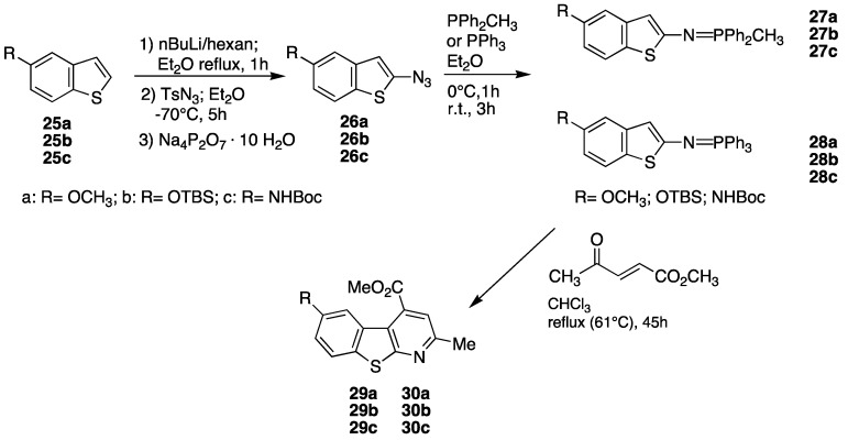 Scheme 5