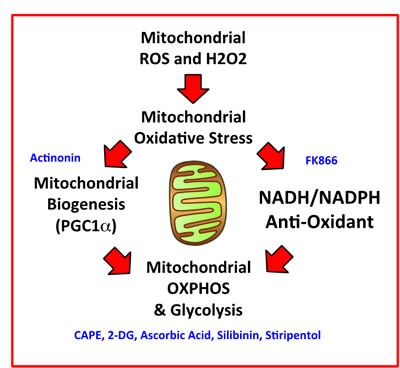 Figure 13