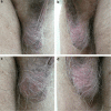 Fig. 2a–d
