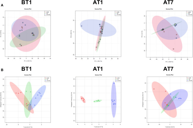 Figure 6