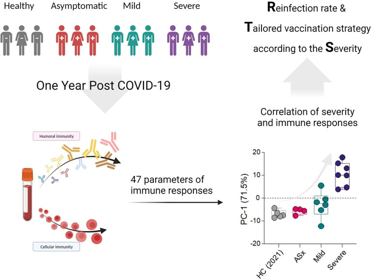 Graphical Abstract