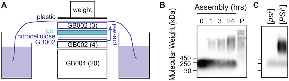 Figure 4: