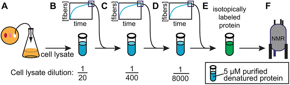 Figure 6: