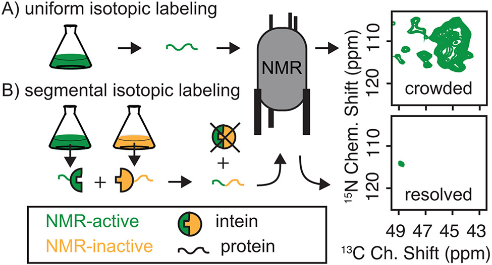 Figure 7: