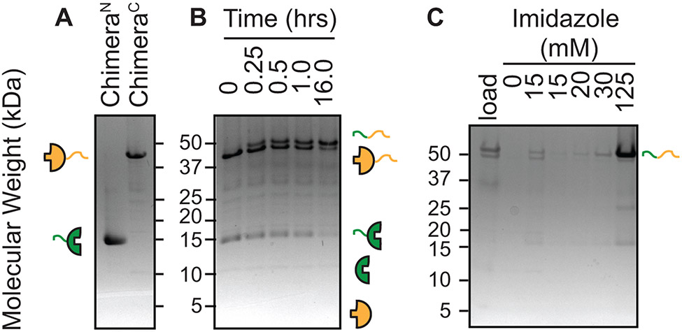 Figure 9: