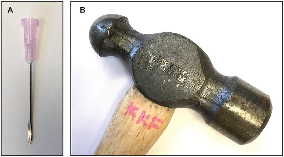 Figure 10: