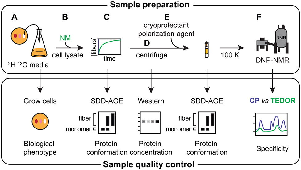 Figure 2: