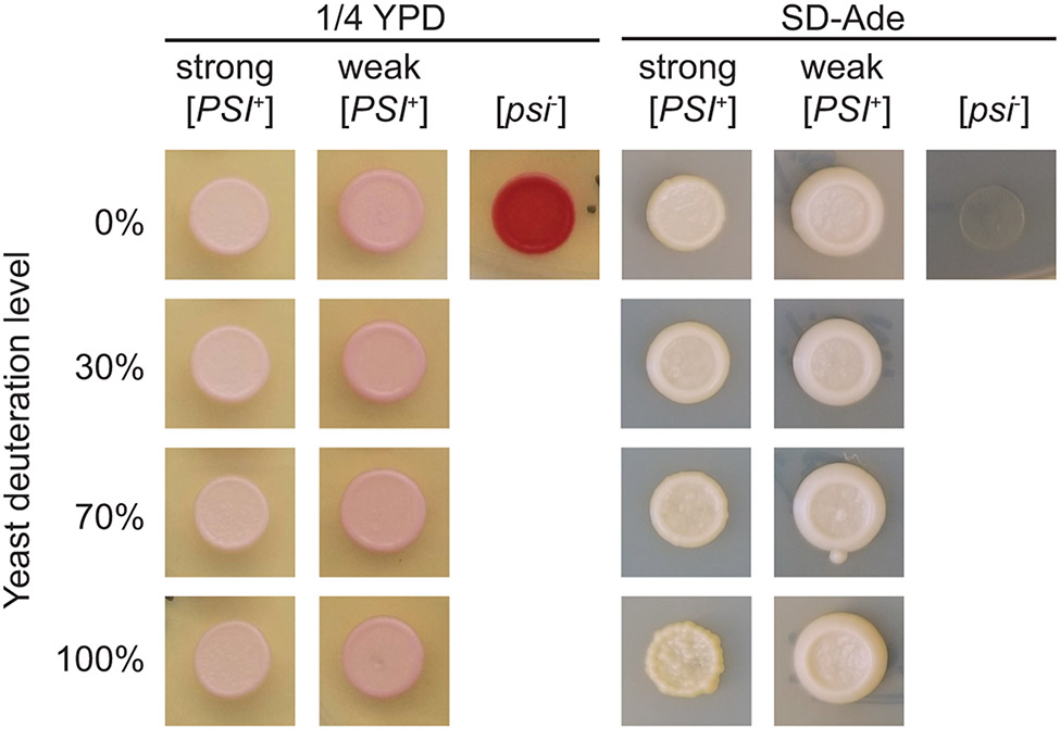 Figure 3: