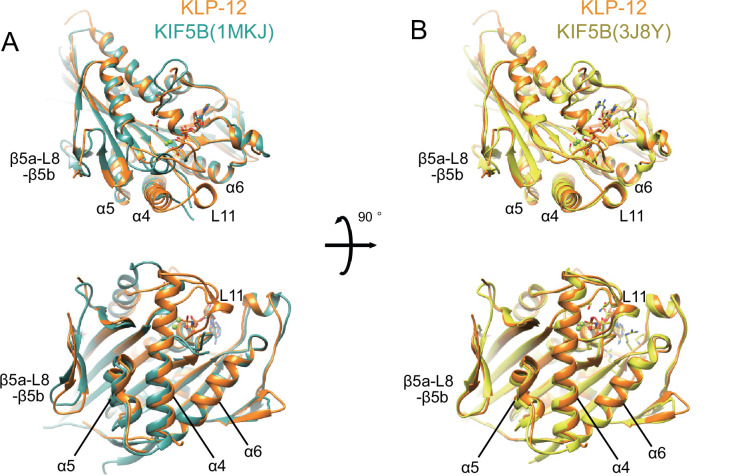 Figure 4—figure supplement 1.