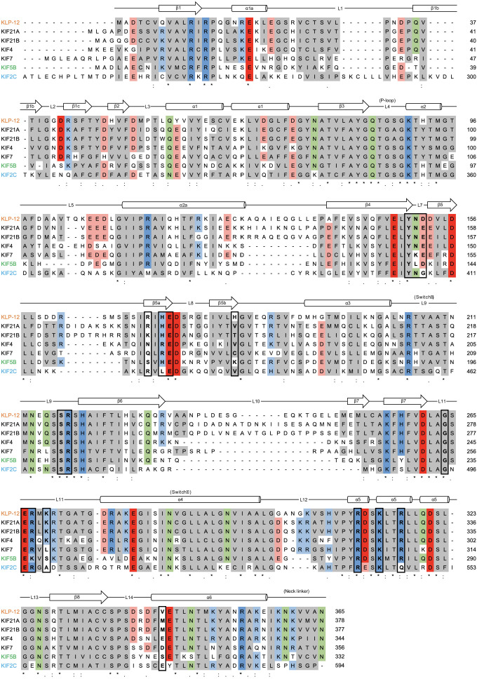 Figure 1—figure supplement 2.