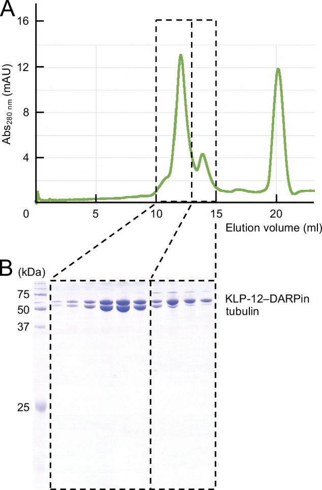 Figure 3—figure supplement 2.