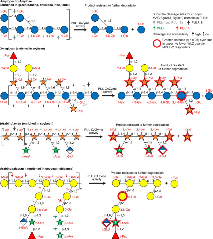 Extended Data Fig. 11.