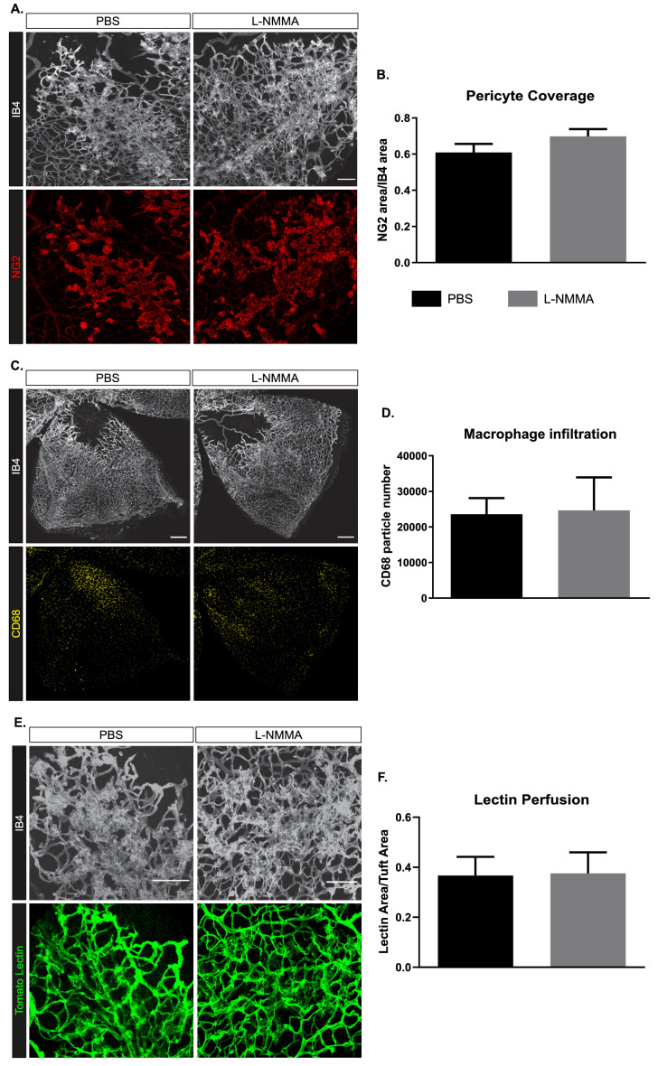 Figure 4—figure supplement 1.