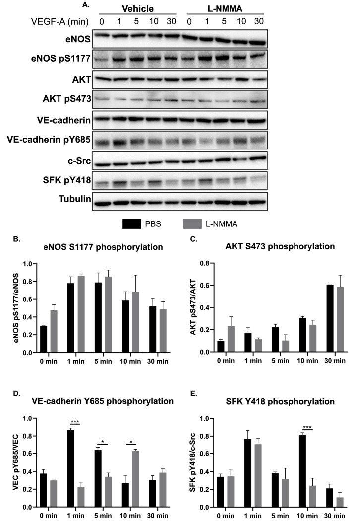 Figure 2—figure supplement 2.