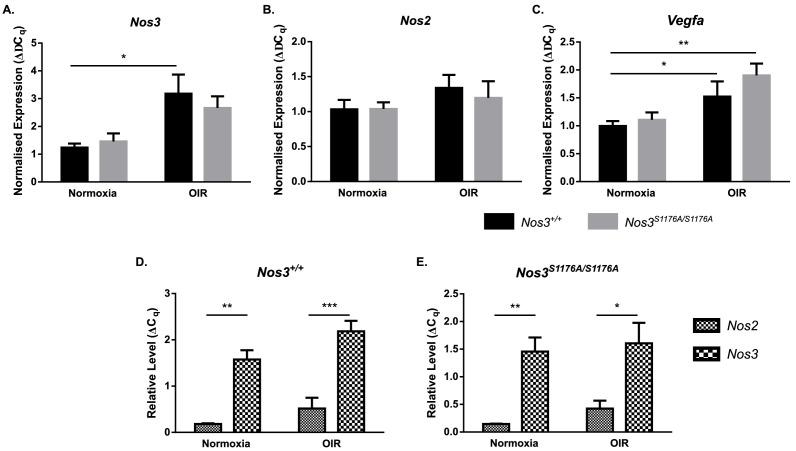 Figure 1—figure supplement 4.