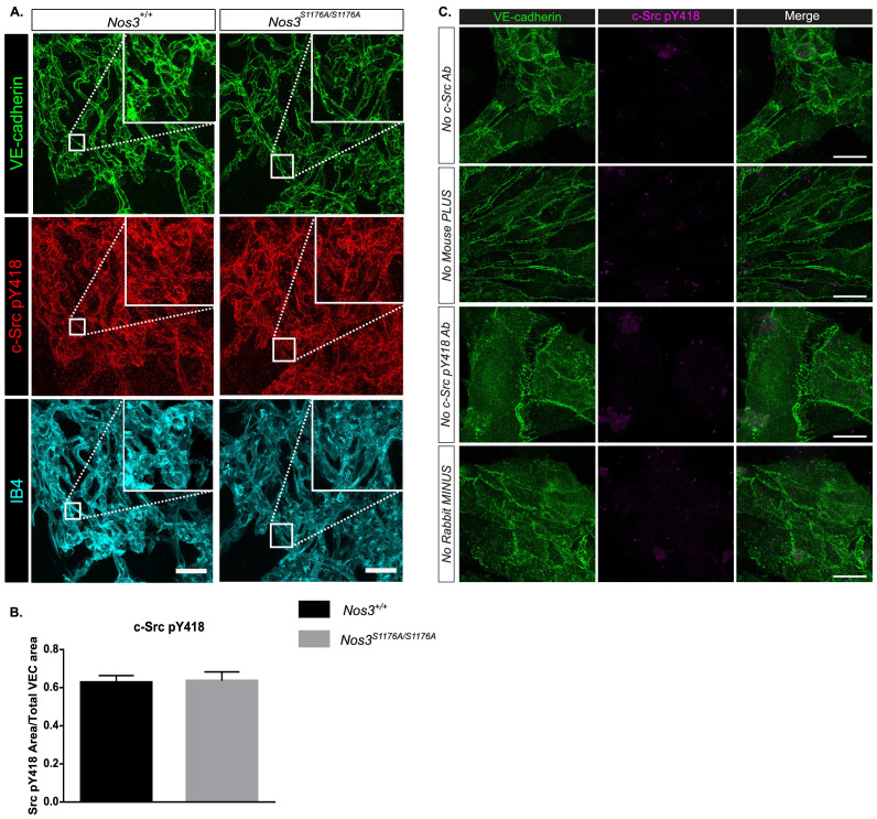 Figure 2—figure supplement 3.