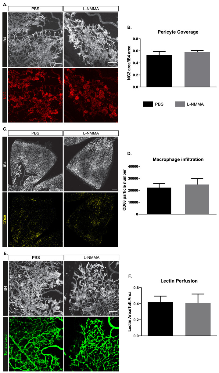 Figure 5—figure supplement 1.