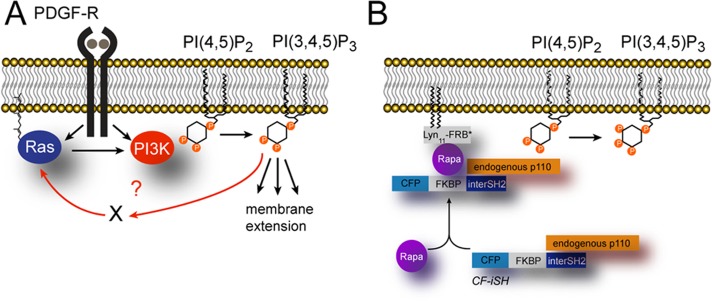 FIGURE 1: