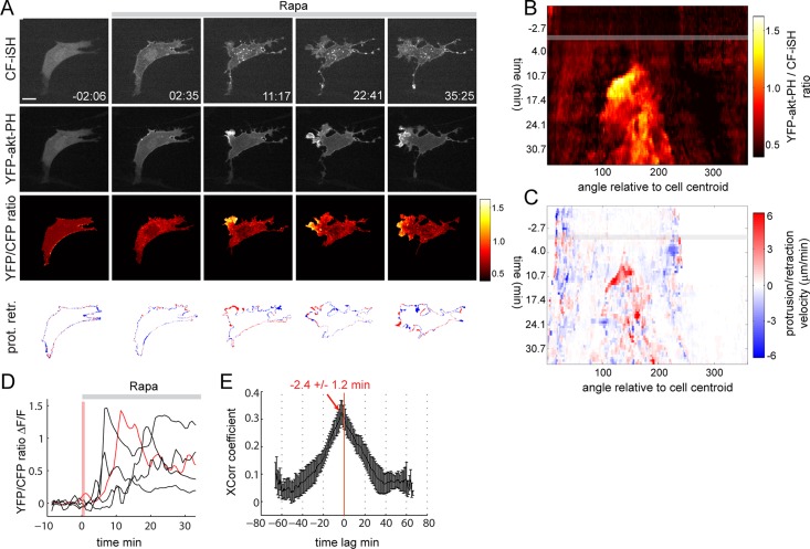 FIGURE 2: