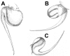 Figure 29